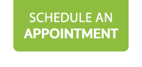 Schedule an Appointment Rectangle Lime Green - Chie